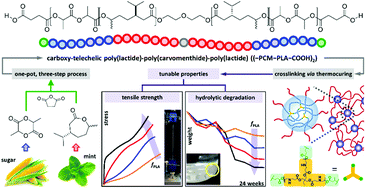 Graphical abstract: Thermoset elastomers covalently crosslinked by hard nanodomains of triblock copolymers derived from carvomenthide and lactide: tunable strength and hydrolytic degradability