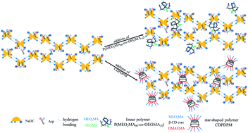 Graphical abstract: Effects of polymers on the properties of hydrogels constructed using sodium deoxycholate and amino acid