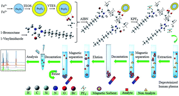 Graphical abstract: Silica-coated magnetic iron oxide functionalized with hydrophobic polymeric ionic liquid: a promising nanoscale sorbent for simultaneous extraction of antidiabetic drugs from human plasma prior to their quantitation by HPLC