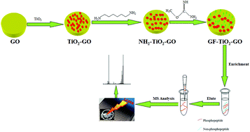 Graphical abstract: A guanidyl-functionalized TiO2 nanoparticle-anchored graphene nanohybrid for enhanced capture of phosphopeptides