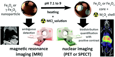 Graphical abstract: Surface radio-mineralisation mediates chelate-free radiolabelling of iron oxide nanoparticles
