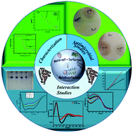 Graphical abstract: Cationic double chained metallosurfactants: synthesis, aggregation, cytotoxicity, antimicrobial activity and their impact on the structure of bovine serum albumin
