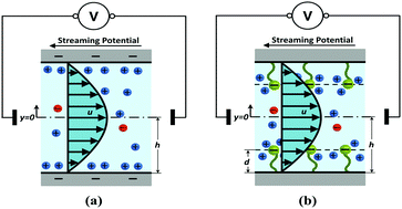 Graphical abstract: Efficient electrochemomechanical energy conversion in nanochannels grafted with end-charged polyelectrolyte brushes at medium and high salt concentration