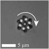 Graphical abstract: Diffusiophoretic design of self-spinning microgears from colloidal microswimmers