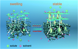 Graphical abstract: One-step enhancement of solvent transport, stability and photocatalytic properties of graphene oxide/polyimide membranes with multifunctional cross-linkers