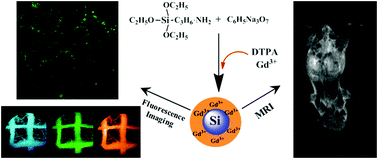 Graphical abstract: One-pot hydrothermal preparation of gadolinium-doped silicon nanoparticles as a dual-modal probe for multicolor fluorescence and magnetic resonance imaging
