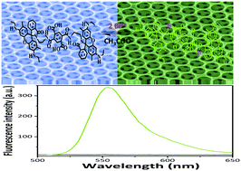 Graphical abstract: Fluorescence-enhancing film sensor for highly effective detection of Bi3+ ions based on SiO2 inverse opal photonic crystals