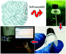 Graphical abstract: Graphene-based cellular materials with extremely low density and high pressure sensitivity based on self-assembled graphene oxide liquid crystals