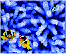 Graphical abstract: Rational design of coralloid Co9S8–CuS hierarchical architectures for quantum dot-sensitized solar cells