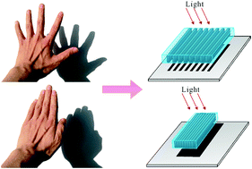 Graphical abstract: Strain-controlled optical transmittance tuning of three-dimensional carbon nanotube architectures