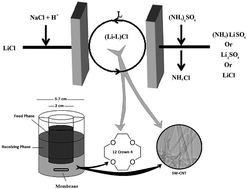 Graphical abstract: Lithium removal from seawater via liquid membrane transport using 12-crown-4 as a carrier and study of the effect of carbon nanotubes as a membrane additive