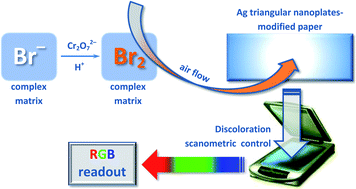 Graphical abstract: A dynamic gas extraction-assisted paper-based method for colorimetric determination of bromides