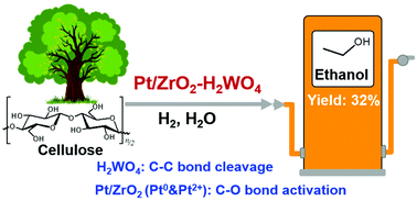 Graphical abstract: Direct conversion of cellulose into ethanol catalysed by a combination of tungstic acid and zirconia-supported Pt nanoparticles