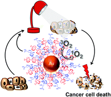 Graphical abstract: A three-component supramolecular nanocomposite as a heavy-atom-free photosensitizer