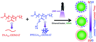 Graphical abstract: Monodisperse poly(methyl methacrylate) microspheres with tunable carboxyl groups on the surface obtained by photoinitiated RAFT dispersion polymerization