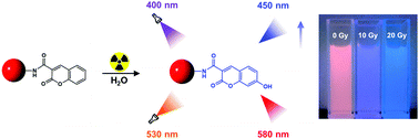 Graphical abstract: A nanogel sensor for colorimetric fluorescence measurement of ionizing radiation doses