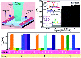 Graphical abstract: Resistive switching behaviors and memory logic functions in single MnOx nanorod modulated by moisture