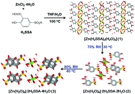 Graphical abstract: Humidity-triggered single-crystal-to-single-crystal structural transformations in a Zn(ii) coordination polymer displaying unusual activation energy change in proton conductivity