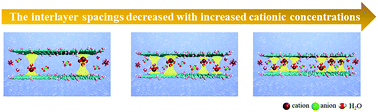 Graphical abstract: Effects of cationic concentration on controlling the interlayer spacings for highly effective ion rejection via graphene oxide membranes