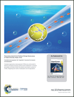 Graphical abstract: Back cover