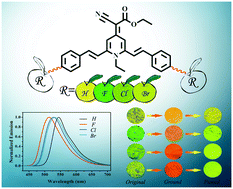 Graphical abstract: Enhanced mechanofluorochromic properties of 1,4-dihydropyridine-based fluorescent molecules caused by the introduction of halogen atoms