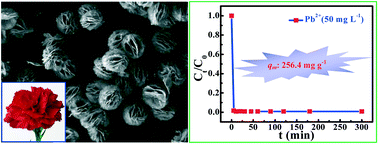 Graphical abstract: Facile hydrothermal synthesis of hierarchical porous priceite (Ca4B10O19·7H2O) microspheres as high-efficiency adsorbents for heavy metal ions removal