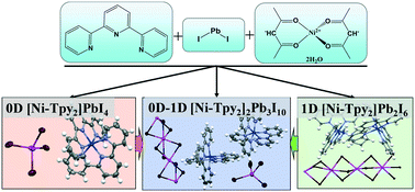 Graphical abstract: Dimensionally and structurally controllable perovskite single crystals: nickel(ii)–terpyridine complex (Ni–Tpy2)-based perovskites