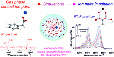 Graphical abstract: Identification of ion pairs in solution by IR spectroscopy: crucial contributions of gas phase data and simulations