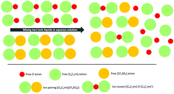 Graphical abstract: Ion speciation: a key for the understanding of the solution properties of ionic liquid mixtures