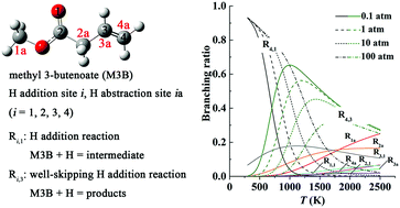 Graphical abstract: Reaction kinetics of hydrogen addition reactions to methyl butenoate