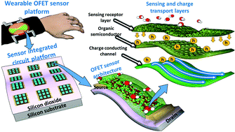 Graphical abstract: Organic field-effect transistor-based flexible sensors