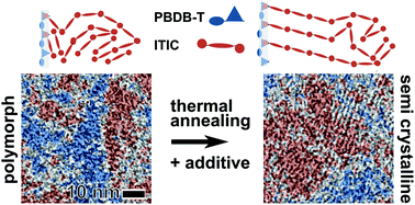 Graphical abstract: Visualizing morphological principles for efficient photocurrent generation in organic non-fullerene acceptor blends
