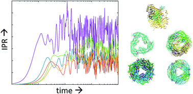 Graphical abstract: On the arrangement of chromophores in light harvesting complexes: chance versus design
