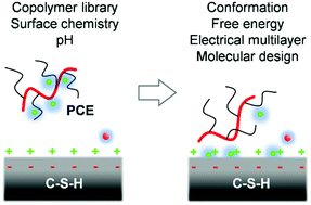 Graphical abstract: Mechanism of molecular interaction of acrylate-polyethylene glycol acrylate copolymers with calcium silicate hydrate surfaces