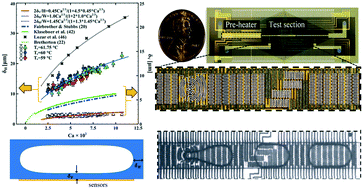 Graphical abstract: Thermographic characterization of thin liquid film formation and evaporation in microchannels