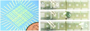 Graphical abstract: Contactless, programmable acoustofluidic manipulation of objects on water