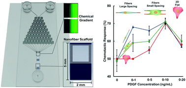 Graphical abstract: Integrating nanofibers with biochemical gradients to investigate physiologically-relevant fibroblast chemotaxis