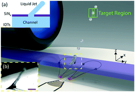 Graphical abstract: On-demand sample injection: combining acoustic actuation with a tear-drop shaped nozzle to generate droplets with precise spatial and temporal control