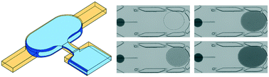 Graphical abstract: Scalable microfluidic droplet on-demand generator for non-steady operation of droplet-based assays