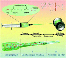 Graphical abstract: Reactive spinning to achieve nanocomposite gel fibers: from monomer to fiber dynamically with enhanced anisotropy