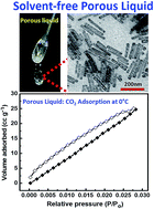 Graphical abstract: A solvent-free porous liquid comprising hollow nanorod–polymer surfactant conjugates