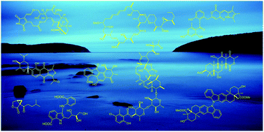 Graphical abstract: Marine natural products