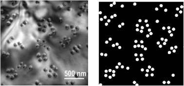 Graphical abstract: Capillary-driven elastic attraction between quantum dots