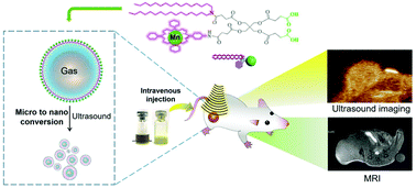 Graphical abstract: Manganese(iii)-chelated porphyrin microbubbles for enhanced ultrasound/MR bimodal tumor imaging through ultrasound-mediated micro-to-nano conversion