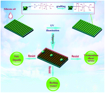 Graphical abstract: Fabrication of biocompatible super stable lubricant-immobilized slippery surfaces by grafting a polydimethylsiloxane brush: excellent boiling water resistance, hot liquid repellency and long-term slippery stability