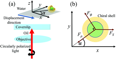 Graphical abstract: Enantioselective manipulation of single chiral nanoparticles using optical tweezers