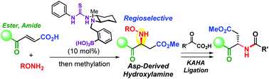 Graphical abstract: Catalytic asymmetric aza-Michael addition of fumaric monoacids with multifunctional thiourea/boronic acids