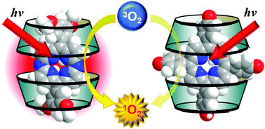 Graphical abstract: High photodynamic activities of water-soluble inclusion complexes of 5,15-diazaporphyrins in cyclodextrin