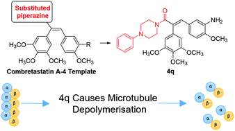 Graphical abstract: Synthesis and evaluation of antiproliferative microtubule-destabilising combretastatin A-4 piperazine conjugates