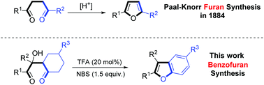 Graphical abstract: De novo synthesis of benzofurans via trifluoroacetic acid catalyzed cyclization/oxidative aromatization cascade reaction of 2-hydroxy-1,4-diones